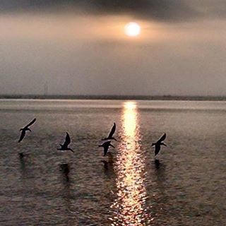 Profile Picture of Carlos Traverso (rengo) (@carlostraversop) on Facebook