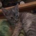 Profile Picture of Alice Halcomb (@alice.halcomb.5) on Facebook