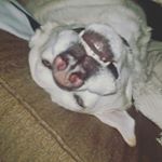 Profile Picture of Aaron Stuart (@aaronstuart9471) on Instagram