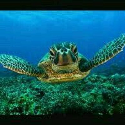 Profile Picture of Bryn Phillips (@phillips_bryn) on Twitter