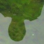 Profile Picture of Rick Mattock (@rickmattock) on Pinterest