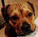 Profile Picture of Mario Paramo (@mario.paramo.5) on Facebook