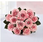 Profile Picture of Conroy Lambert (@Conroy-Lambert) on Facebook