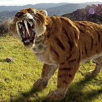 Profile Picture of Nick Nicholas  (@nick-nicholas-20) on Quora