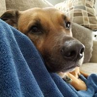 Profile Picture of Heather Spaulding (@heather-spaulding-7) on Quora