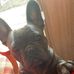 Profile Picture of Colin Kovacs (@colin.kovacs.5) on Facebook