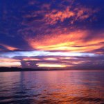 Profile Picture of Glen Marson (@hellomarlonvenetta) on Instagram