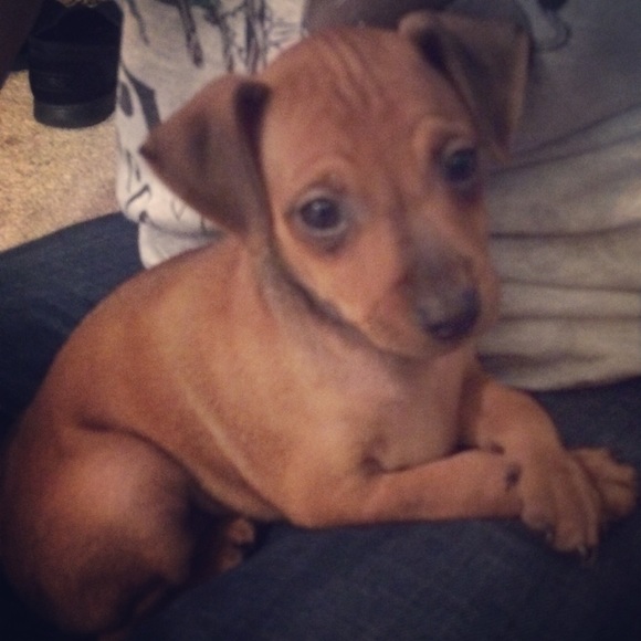 Profile Picture of Jordan Chandler (@jtc527) on Poshmark