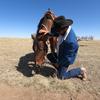 Profile Picture of Mark Hernandez (@@americanhorsecompany) on Tiktok