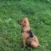 Profile Picture of Richard Shipman (@richard.shipman.121) on Facebook