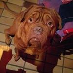 Profile Picture of Michael Deschamps (@michael.deschamps) on Instagram