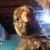 Profile Picture of Carson Guy (@car.guy.75685) on Facebook