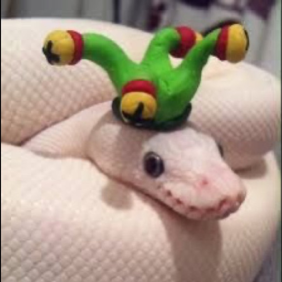 Daisy Flower - Poshmark Profile Picture of Daisy Flower (@wwhateverr101) on Poshmark