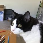 Profile Picture of Leah Featherstone (@featherstone.leah) on Instagram