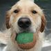 Profile Picture of Howard Bertram (@howard.bertram.77) on Facebook