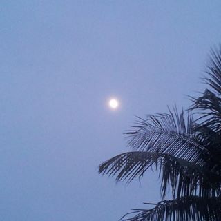 Profile Picture of Robyn L Remington (@Robyn-L-Remington) on Facebook