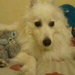 Profile Picture of Lucky and Tia (@cuteluckyandtia) on Instagram