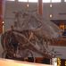 Profile Picture of Allen Fossil (@allen.fossil) on Facebook