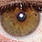 Profile Picture of Alfredo Gonzalez Orellana (@Alfredo Gonzalez Orellana) on Flickr