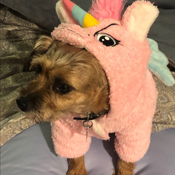 Profile Picture of John Naclerio (@jnaclerio115) on Poshmark