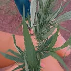 Kathleya Tancred - Facebook Profile Picture of Kathleya Tancred (@Kathleya-Tancred) on Facebook