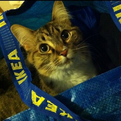 Profile Picture of Christina Clement (@M3D1Ccc) on Twitter
