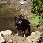 Profile Picture of Mark Floth (@mark.floth) on Facebook