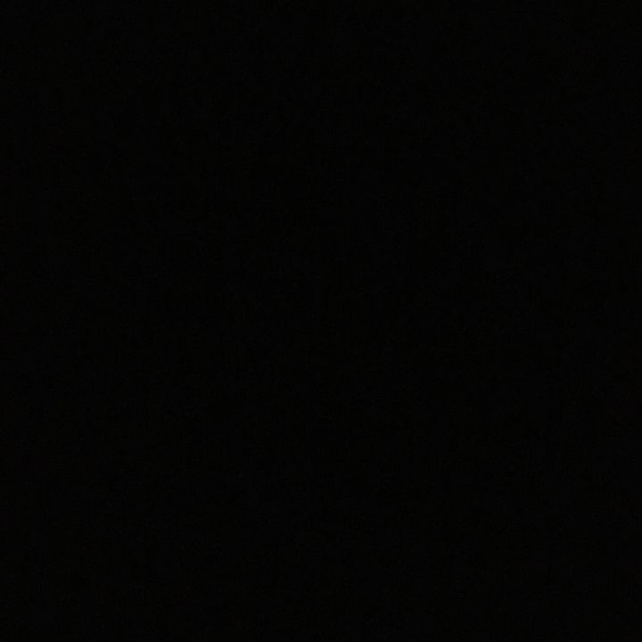 Profile Picture of Archie (@rube_archie) on Tiktok