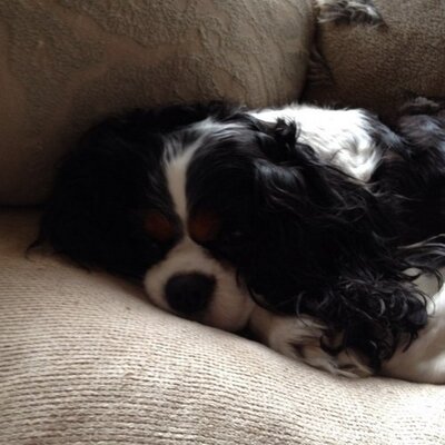 Profile Picture of Mandy Reid (@mandyreid15) on Twitter