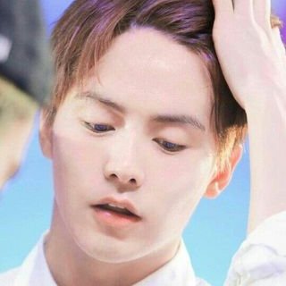 Profile Picture of Ray Ma• (@RayTianYu) on Twitter