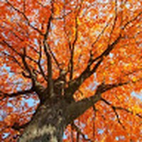 Profile Picture of Sam Duquette (@sam-duquette-2) on Quora