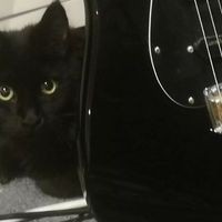 Profile Picture of David Bouch (@david-bouch-11) on Quora