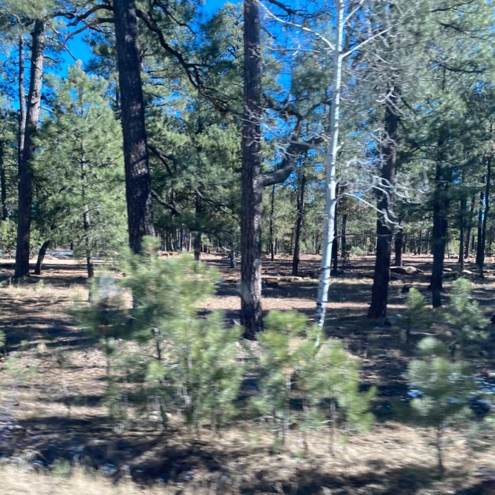 Mari Jacquez - Tiktok Profile Picture of Mari Jacquez (@marijacquez08) on Tiktok