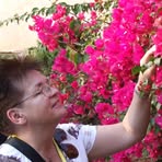Profile Picture of Sylwia Gizowska (@Sylwia-Gizowska) on Facebook