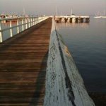 Profile Picture of Joanna Radding (@joradding) on Instagram