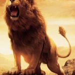 Profile Picture of Cristian Macario (@cristia2184) on Instagram