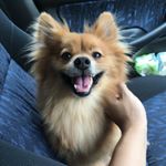 Profile Picture of Eugene Lee (@eugene_ek4) on Instagram