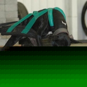 Profile Picture of James Carringer (@315661973) on Myspace