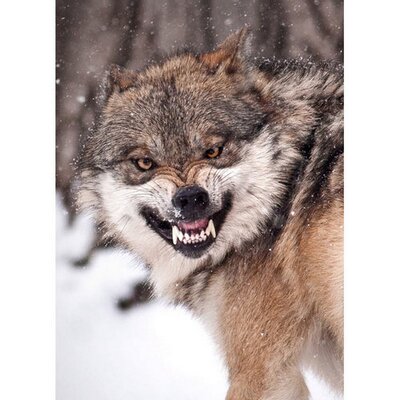 Profile Picture of Posey Martin (@PoseyMartin) on Twitter