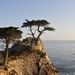 Profile Picture of Chris Chadderdon (@chrischadderdon) on Pinterest