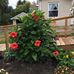Profile Picture of Nancy Fredenburg (@nancy.fredenburg.79) on Facebook
