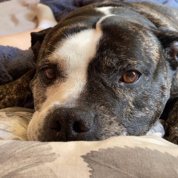 Kasey Summers - Poshmark Profile Picture of Kasey Summers (@kasejxide) on Poshmark