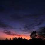 Profile Picture of Melanie Steffens (@melaniesteffens) on Instagram