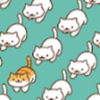 Profile Picture of Stella Pang (@stella-pang-9) on Quora