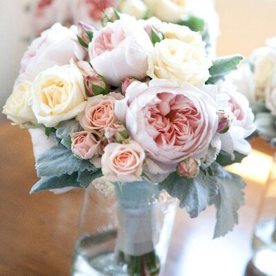 Profile Picture of Kristen Beinke (@@kristenbeinke) on Twitter