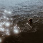 Profile Picture of hann (@hannanjoyce) on Instagram