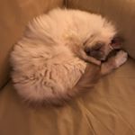 Profile Picture of Ray Robertson (@rayrobertson1961) on Instagram