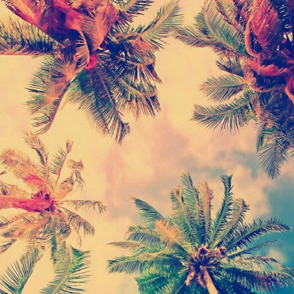 Profile Picture of Aliyah Scott (@aliyah_scott_04) on Poshmark