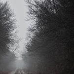 Profile Picture of james wilton (@jameswilto) on Instagram