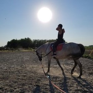 Profile Picture of Michael Dillon Phillips (@mDillonPhillips) on Twitter